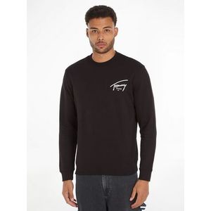 Tommy Jeans Plus Sweater TJM REG ENTRY GRAPHIC CREW EXT