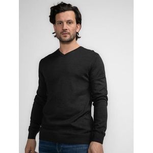 Petrol Industries Trui met V-hals Men Knitwear V-Neck Basic