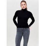 Only Coltrui ONLKAROL L/S ROLLNECK PULLOVER KNT NOOS