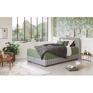 COTTA Boxspring Beetle incl. matrastopper en bedlade