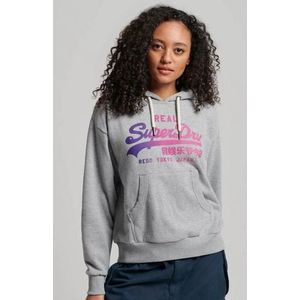 Superdry Hoodie TONAL VL GRAPHIC HOODIE