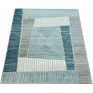 Paco Home Vloerkleed Stilo 850 Geschikt voor binnen en buiten, woonkamer