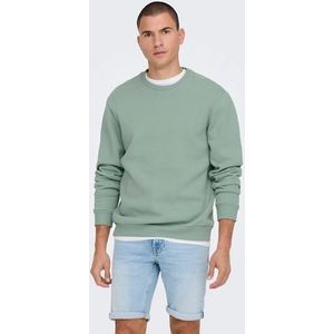 ONLY & SONS Sweatshirt ONSCERES CREW NECK NOOS