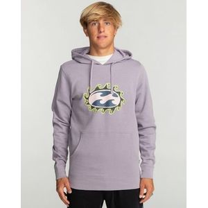 Billabong hoodies kopen Vergelijk alle aanbiedingen beslist