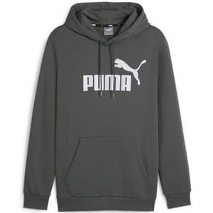 Puma Hoodie Grijs