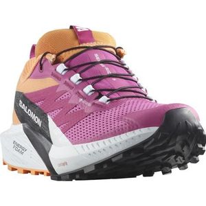 Salomon Trailrunningschoenen SENSE RIDE 5 GORE-TEX