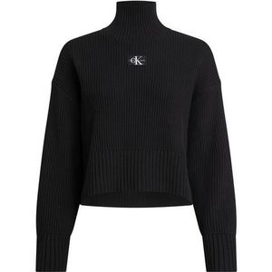 Calvin Klein Jeans Plus Coltrui PLUS LABEL CHUNKY SWEATER