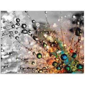 Artland Artprint Kleurrijke natuur als artprint van aluminium, artprint voor buiten, artprint op linnen, poster, muursticker