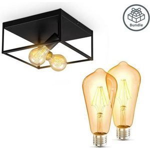 B.K.Licht Plafondlamp (2 stuks)