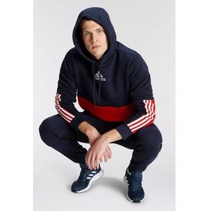 adidas Sportswear Hoodie ESSENTIALS COLORBLOCK FLEECE HOODIE