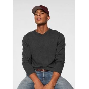 Jack & Jones Trui met V-hals JJEBASIC KNIT V-NECK