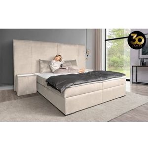 COLLECTION AB Boxspring 30 Jahre Jubiläums Modell BIG