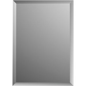 Spiegel charleston plieger rechthoekig 4mm met facetrand 120x30 cm zilver