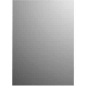 Spiegel basic plieger rechthoekig 4mm 70x55 cm zilver