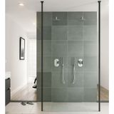 Bruynzeel inloopdoucheset lector 110x210 cm 8 mm helder glas vrijstaand met plafondsteunen mat zwart