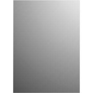 Spiegel basic plieger rechthoekig 4mm 60x90 cm zilver