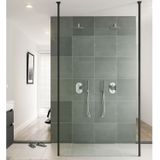 Bruynzeel inloopdoucheset lector 100x210 cm 8 mm helder glas vrijstaand met plafondsteunen mat zwart