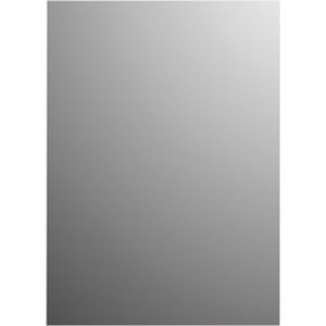 Spiegel basic plieger rechthoekig 4mm 90x45 cm zilver
