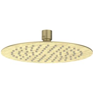 Hoofddouche IVY Slim 20 cm Anti-Kalk Nozzels Eco-Air Geborsteld Mat Goud PVD