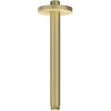 Plafondbuis IVY 20 cm 1/2 Geborsteld Mat Goud PVD
