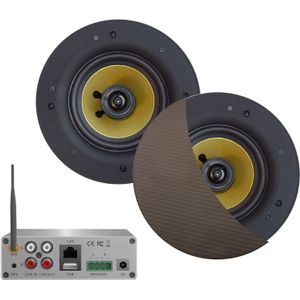 Aquasound - Wifi-Audiosysteem - Inox/RVS Look - 50 Watt - Incl Samba Speakers 205 mm