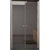 Bws nisdeur met pendeldeuren 100x200 cm 6mm nano coating