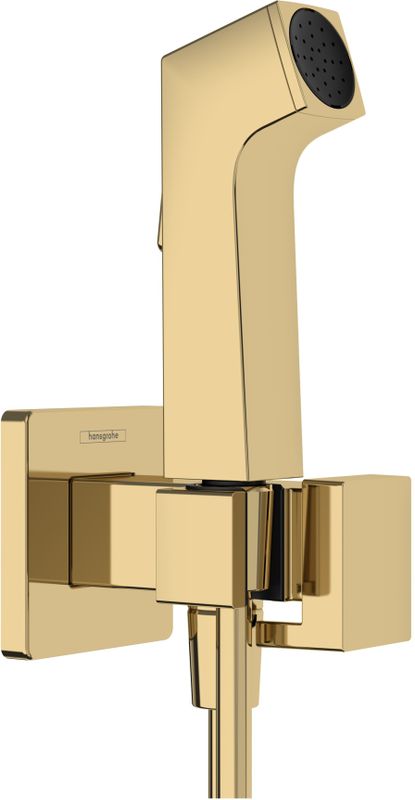 Hansgrohe - Bidethanddouche 1jet E EcoSmart - Polished Gold-Optic - Met Douchehouder en Doucheslang 125 cm