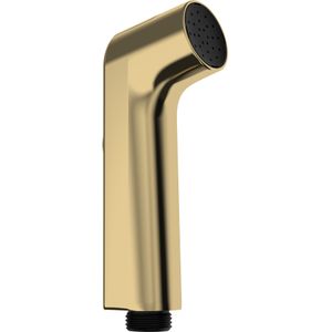 Hansgrohe bidethanddouche 1jet EcoSmart, Polished Gold-Optic