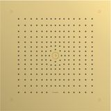 Hansgrohe - Raindance E - Hoofddouche - Gepolijste Goudlook - 40x40 cm