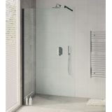 Bruynzeel inloopdouche lector 100x210 cm 8 mm helder glas mat zwart