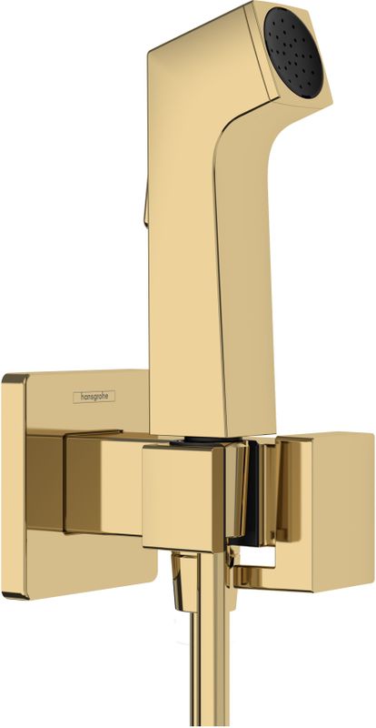 Hansgrohe - Bidethanddouche 1jet E EcoSmart - Polished Gold-Optic - Voor Koud Water - Met Douchehouder en Doucheslang 125 cm