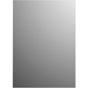 Spiegel basic plieger rechthoekige pas spiegel 4mm 120x30 cm zilver