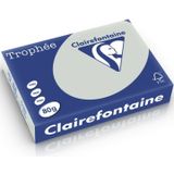 Clairefontaine Lichtgrijs A4 - 80 g/m² (500 Blatt) - Farbiges Papier