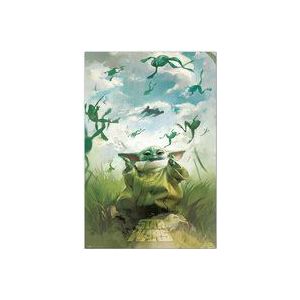 Poster star Kriege grogu Ausbildung