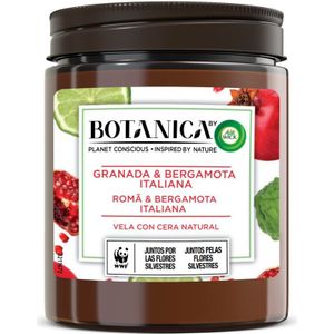 Botanica by Air Wick Aromatische Duftkerze, Dufterfrischer für Zuhause mit Granatapfel und italienischer Bergamotte - 205gr