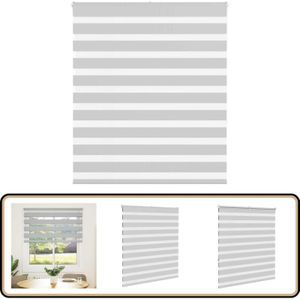 Vidaxl - Zebrarollo Hellgrau 120x150 cm Stoffbreite 115,9 cm Polyester