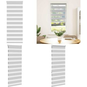 Vidaxl - Zebrarollo Hellgrau 55x150 cm Stoffbreite 50,9 cm Polyester