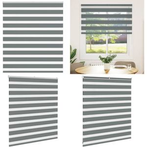 Vidaxl - Zebrarollo Dunkelgrau 135x100 cm Stoffbreite 130,9 cm Polyester