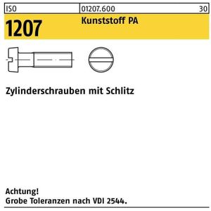 Zylinderschraube ISO 1207 m.Schlitz M 6 x 50 Polyamid
