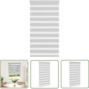 VidaXL Zebrarollo Hellgrau 80x150 cm Stoffbreite 75,9 cm Polyester