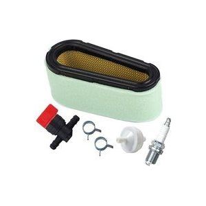 496894 Luftfilter mit Kraftstofffilter 394358 und Kraftstoffabsperrventil 494768 für 12,5-17 PS Einzylindermotoren