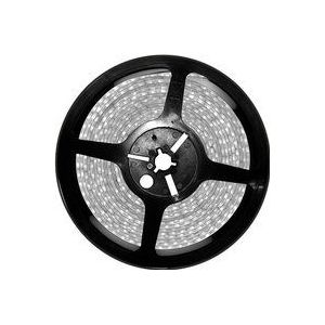 LED-Streifen 12V 4,8W/m SMD3528 60LED/m 6000K IP65 5m.