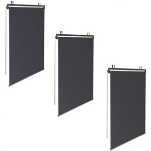 Satz von 3 Rollos B.124 x h. 225 cm für Pergola anthrazitgrau