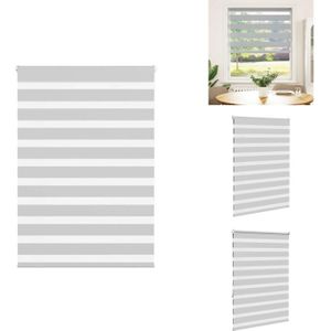 Vidaxl - Zebrarollo Hellgrau 110x150 cm Stoffbreite 105,9 cm Polyester - Zebra-Jalousie - Zebra-Jalousien - Zebra-Rollo - Doppelrollo