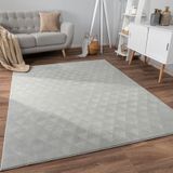 Teppich Wohnzimmer Kurzflor Rutschfest Skandi Boho Design Einfarbig Geometrisch 160x220 cm, Grau 2 - Paco Home