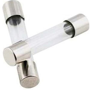 Eska - 521.009 Feinsicherung 5x20mm, mittelträge, m 160 mA, 10 Stück