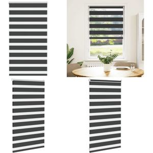 Vidaxl - Zebrarollo Schwarz 75x100 cm Stoffbreite 70,9 cm Polyester