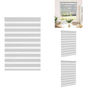 Vidaxl - Zebrarollo Hellgrau 100x150 cm Stoffbreite 95,9 cm Polyester - Zebra-Jalousie - Zebra-Jalousien - Zebra-Rollo - Doppelrollo