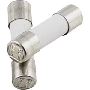 Eska - 520.516 520516 Feinsicherung (ø x l) 5 mm x 20 mm 0.8 a 250 v Flink -f- Inhalt 10 St.