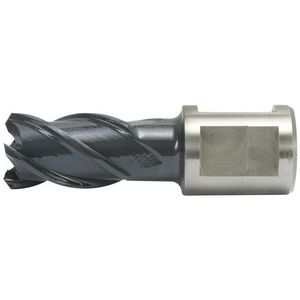 Kernbohrer HSS-Co rqx 22/30mm Alfra